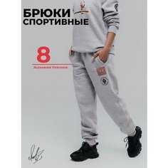 Брюки джоггеры OVIGR8, размер S, серый