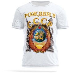 Футболка PANiN Brand, размер L, белый, серый
