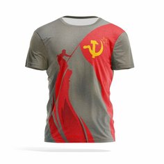 Футболка PANiN Brand, размер XXS, серый