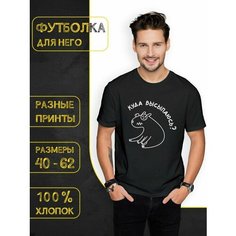 Футболка DARIART Куда высыпаюсь Капибара, 1 шт., размер M, черный