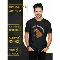Футболка DARIART Куда высыпаюсь цвет Капибара, 1 шт., размер L, черный