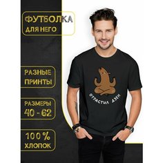 Футболка DARIART Отрастил дзен цвет Капибара, 1 шт., размер 3XL, черный