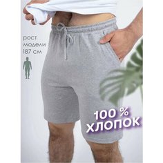 Бермуды Чебоксарский Трикотаж, размер 6XL, обхват талии 114 см, серебряный