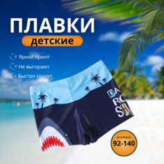 Плавки Весна-Лето 2025, размер L, голубой/синий Нет бренда