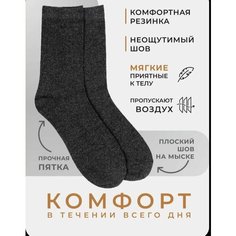 Носки , комплект, 10 пар, 10 уп., размер 27, темно-серый Нет бренда
