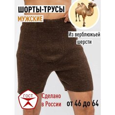 Термобелье низ doctor, размер 62-64, коричневый