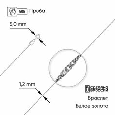 Браслет-цепочка ZOLOTO.GOLD, белое золото, 585 проба, родирование, длина 19 см., белый