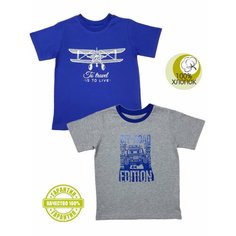 Футболка Золотой ключик, размер 110, серый