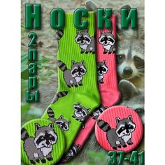 Носки Happy Frensis Носки, комплект, 2 пары, размер 38-41, зеленый