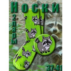 Носки Happy Frensis Носки, комплект, 2 пары, размер 38-41, зеленый