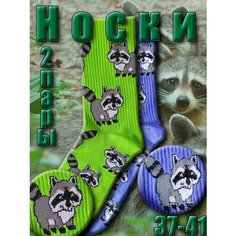Носки Happy Frensis Носки, комплект, 2 пары, размер 38-41, зеленый