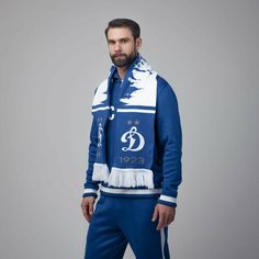 Шарф ФК Динамо Москва для мужчин, универсальный, синий