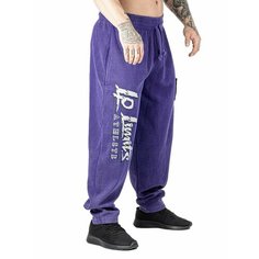 Брюки Legal Power, размер 3XL, cиний
