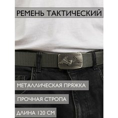 Ремень для взрослых и детей, размер 120, серый Awengo Style