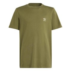 Футболка adidas Originals IP3027, размер 15-16 лет, оливковый
