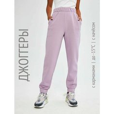 Брюки джоггеры HIGH TEMP 2038F4, размер 42/44, фиолетовый