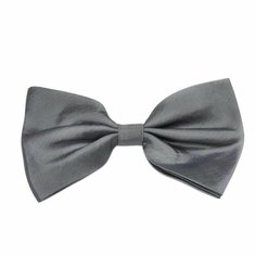 Бабочка WHY NOT BRAND, серый/серебристый