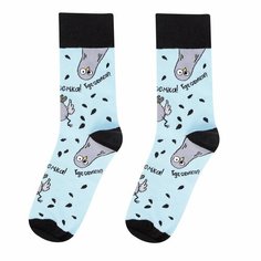 Носки Kawaii Factory, 100 den, размер 35-39, голубой