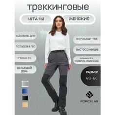 Брюки спортивные FORCELAB Спорт, размер 6XL, черный