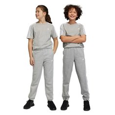 Брюки adidas Essentials, размер 176, светло-серый