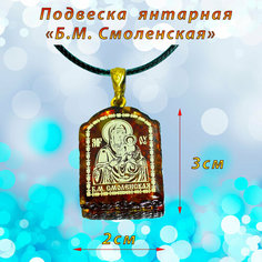 Колье, янтарь, коричневый, золотой T&Z Mineral