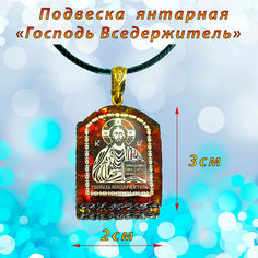 Колье, янтарь, коричневый, золотой T&Z Mineral
