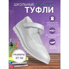 Туфли Lovely Puppy, размер 29, , серебристый