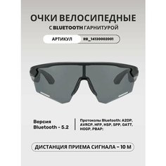 Солнцезащитные очки RockBros, черный матовый