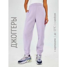 Брюки джоггеры HIGH TEMP 2038F4, размер 58/60, фиолетовый