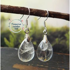 Серьги, бесцветный, белый Нет бренда