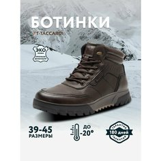 Ботинки T.Taccardi, размер 42, коричневый
