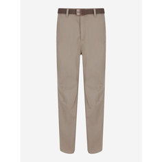 Брюки CORDILLERO Travel Male Pants, размер 46, кофейный