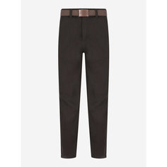 Брюки CORDILLERO Travel Male Pants, размер 54, темно-коричневый