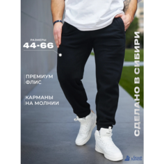 Брюки спортивные Белый Камень, размер 44-46/170-176, черный