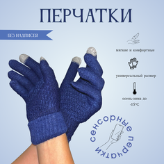 Перчатки для мужчин и женщин, размер 20.5*6 см, синий