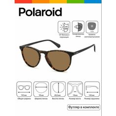 Солнцезащитные очки Polaroid, коричневый, бежевый