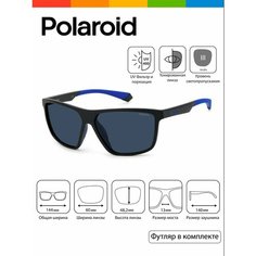 Солнцезащитные очки Polaroid, черный, синий