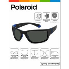 Солнцезащитные очки Polaroid, черный, синий, серый