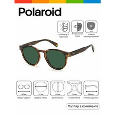 Солнцезащитные очки Polaroid, коричневый, бежевый, зеленый
