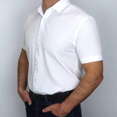 Рубашка Alexander Matin Рубашка мужская с коротким рукавом, приталенная, светлая сорочка, на пуговицах, рубаха на лето и на любой сезон, стильный фасон одежды, красивый и модный образ, белая однотонная, летняя без карманов, размер L, белый