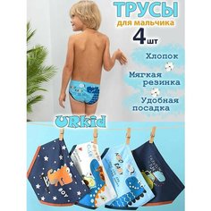 Трусы Jim Hussey, 4 шт., размер 128-140 (9-10)(XL), голубой