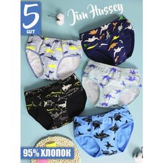 Трусы Jim Hussey, 5 шт., размер 5XL