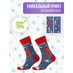 Носки Big Bang Socks разнопарные, размер 35-39, синий