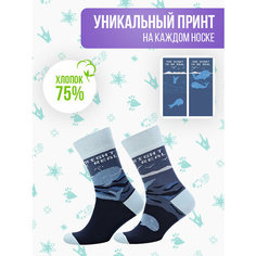 Носки Big Bang Socks разнопарные, размер 35-39, синий