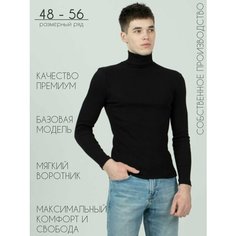 Водолазка Хайтек, размер 50/188, , черный, Черный