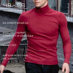 Водолазка Хайтек, размер 56/188, , бордовый, бордовый