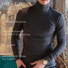 Водолазка Хайтек, размер 54/176, , серый/серый
