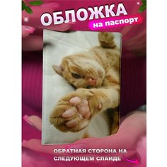 Обложка для паспорта KRASNIKOVA, бежевый