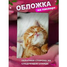 Обложка для паспорта KRASNIKOVA, бежевый