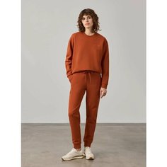 Брюки спортивные JUST CLOTHES, размер 44, коричневый